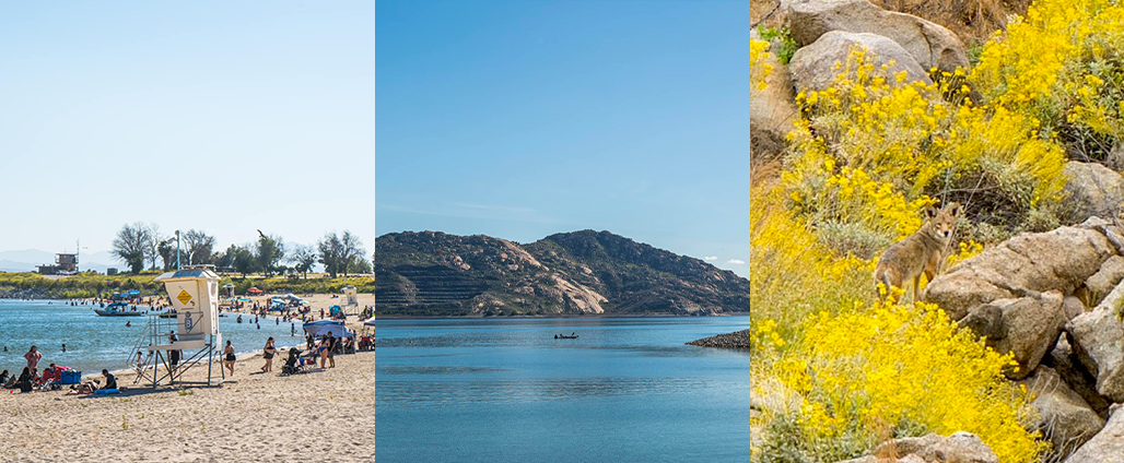 Images of Lake Perris